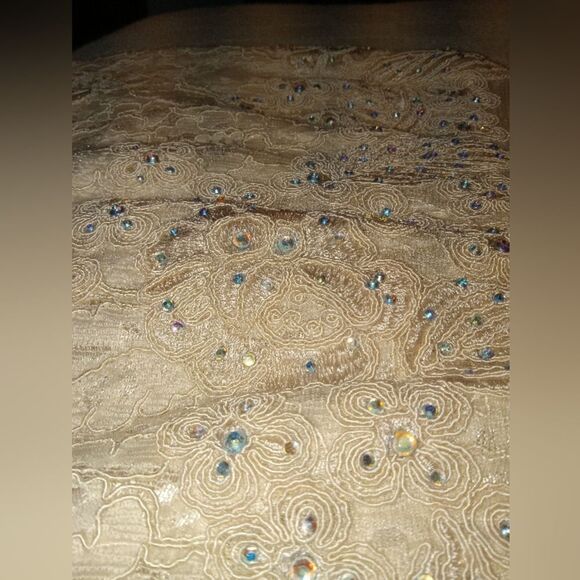 Aspeed Design Lace and Jewel / Rhinestone Champagne Formal Dress - Picture 6 of 16
